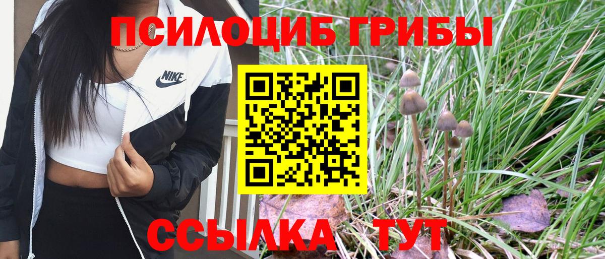 MDMA  МЕТ  COCAIN  A PVP СОЛЬ   Рыбинск  ГАШИШ  Вход с VPN  ЭКСТАЗИ  Меф МЯУ МЯУ  Мефедрон   Cocaine 
